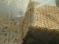 ��ϴб������