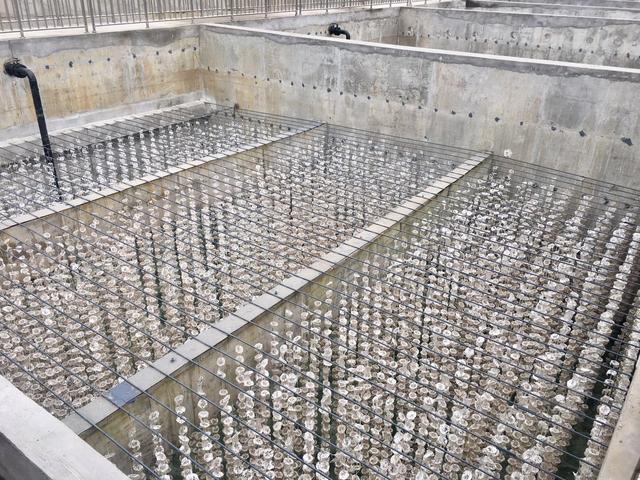 ���ơ�ѩ��Ƭ���ĽM������